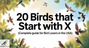 20 Birds That Start With X (Complete Guide for Bird Lovers in the USA)