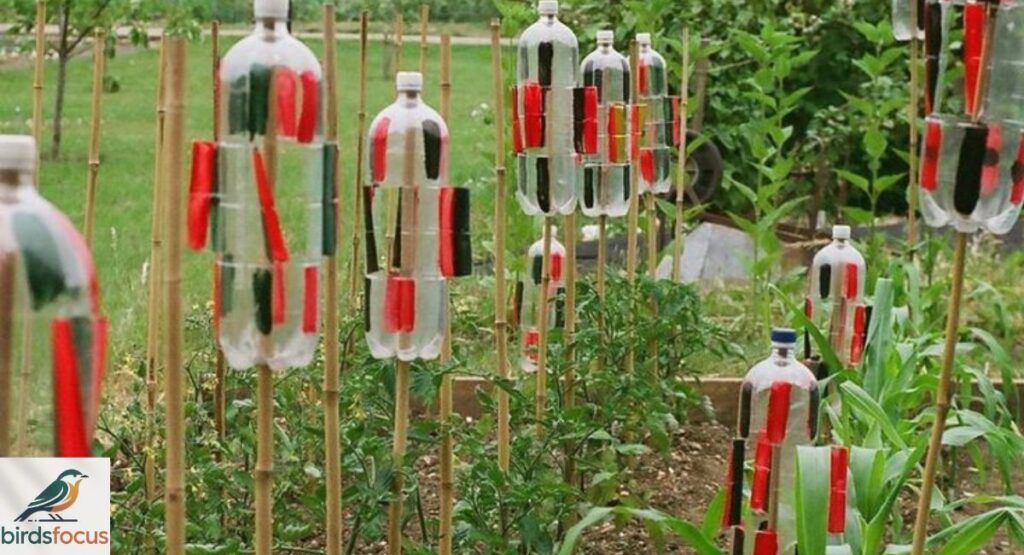 Natural and DIY Repellents