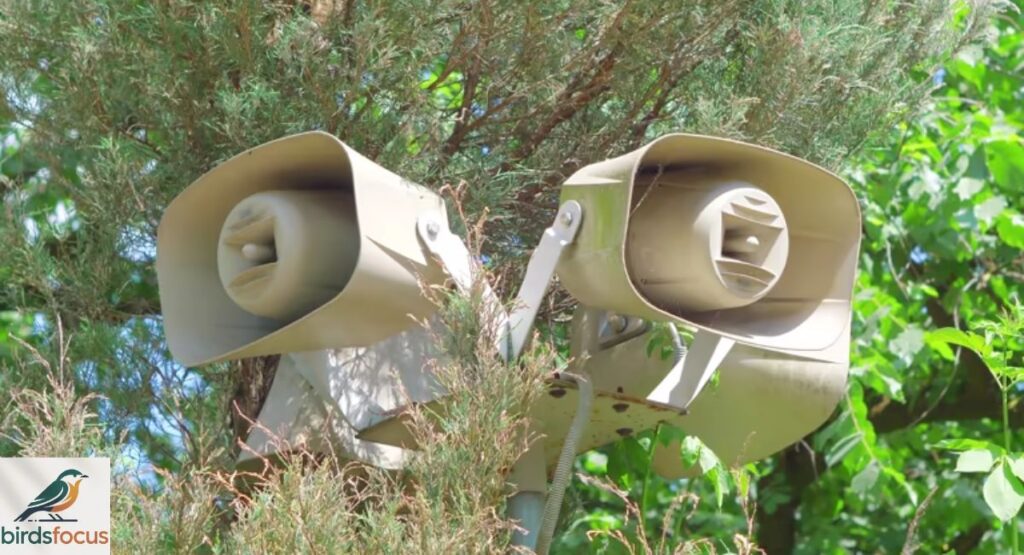 Sound and Motion Devices