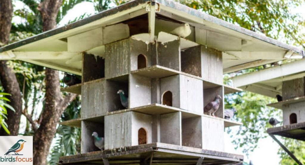 Creating Shelter and Safe Spaces