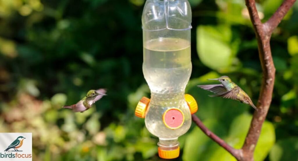 DIY Hummingbird Feeders