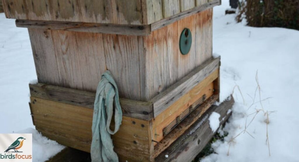 How to Repair Woodpecker Damage